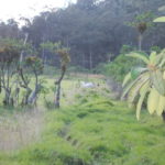 DSCN0226