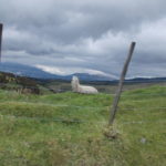 DSCN0345