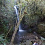 DSCN0369