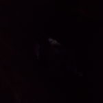 DSCN0450